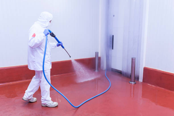 Best Sidewalk and Walkway Pressure Cleaning in Shepherdstown, WV
